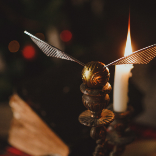 HARRY POTTER PUTOVANJE