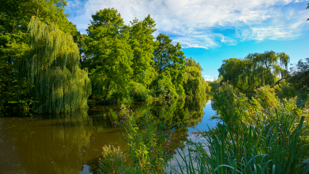 vondelpark amsterdam