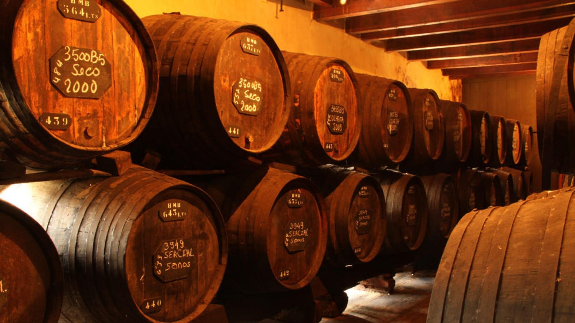 putovanje na madeiru