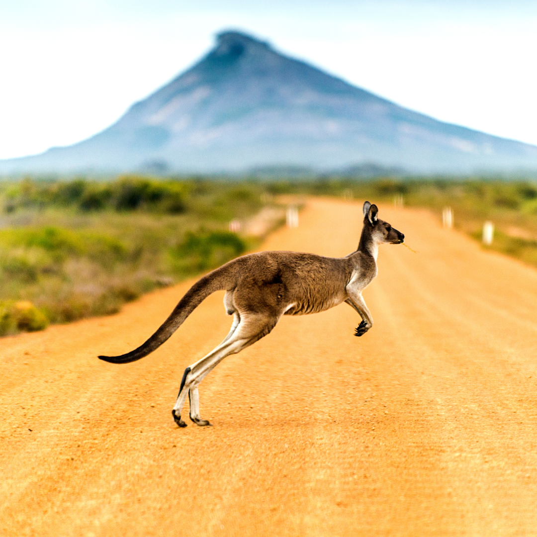 putovanje u australiju